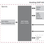 Savvis SAP hosting