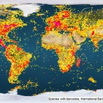 International Barcode of Life map