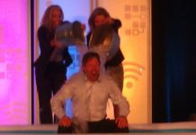 Vitamin Y: The value of (business) collaboration