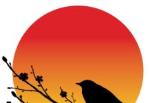 Scaling EHR with CenturyLink cloud