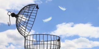 TechRepublic: Gartner declares IaaS race decided, AWS wins