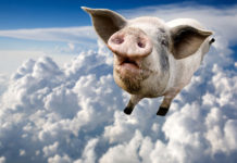 They’re doing what?? Microsoft open play Flying Pig