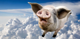 They’re doing what?? Microsoft open play Flying Pig