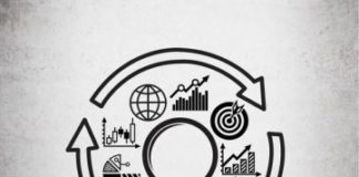 Hybrid vigour Hybrid vigour