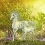 bigstock-Unicorns-In-Glen-97955222-300×270