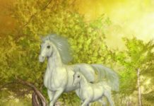 A blessing of unicorns: value and opportunity