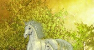 A blessing of unicorns: value and opportunity