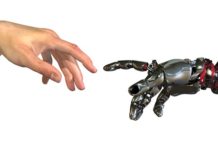 Year of the bots Year of the bots