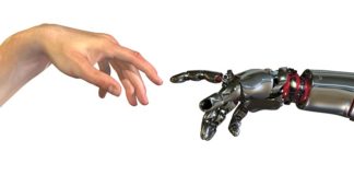 Year of the bots Year of the bots