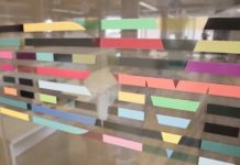 IBM launches Innovation Space IBM launches Innovation Space