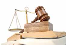 AI driving legal insight