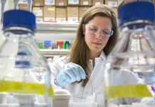 Financing Fred Hutch – a study in data transformation