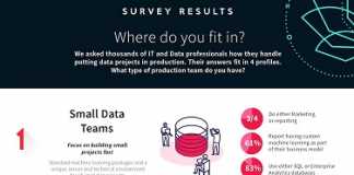 How Companies Get Value from Data Science Production