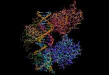 Atomwise delivers AI to speed drug discovery