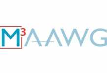 German law enforcement officials receive 2017 M3AAWG J.D. Falk Award for initiating global takedown of avalanche malware