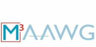 German law enforcement officials receive 2017 M3AAWG J.D. Falk Award for initiating global takedown of avalanche malware