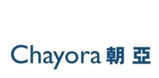 Chayora breaks ground on first of two hyperscale data centre campuses in China