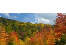 Linking state-of-the-art with the art-of-the-possible in public sector BI