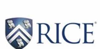 Organ bioprinting gets a breath of fresh air