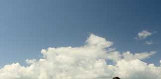 Summer Scan: Thought leadership packaged for deck or dock