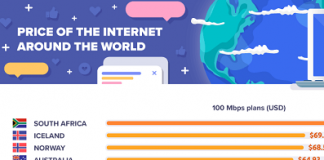 Infographic: Prices of Internet Access Around the World (Picodi)