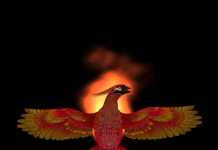 Celtic phoenix rising on data centre wings