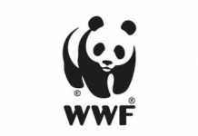 WWF-Canada announces Generation Water Tech Challenge award recipients
