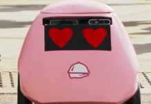 Meet Geoffrey, the autonomous delivery robot: foodora teams up with Tiny Mile on artificially intelligent delivery