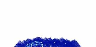 Open Solidarity to address COVID-19 crisis