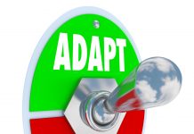 Day 2 of Holiday Cheer: the best in sustainability insight