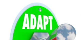 Day 2 of Holiday Cheer: the best in sustainability insight