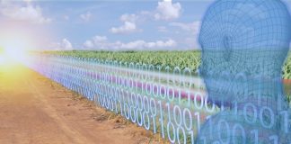 Digging into ‘Digital Transformation’ – GCDCS21 morning challenge